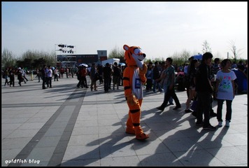 dsc_0333-800