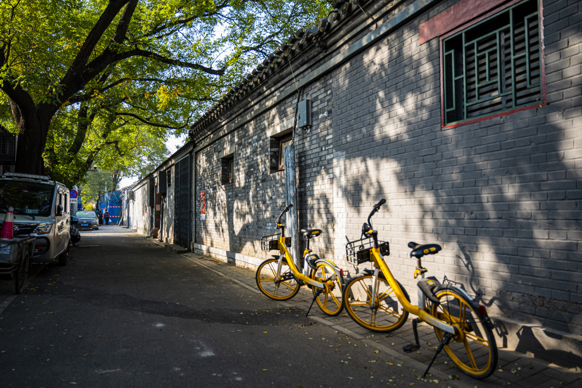 北平的秋天绚烂而短暂