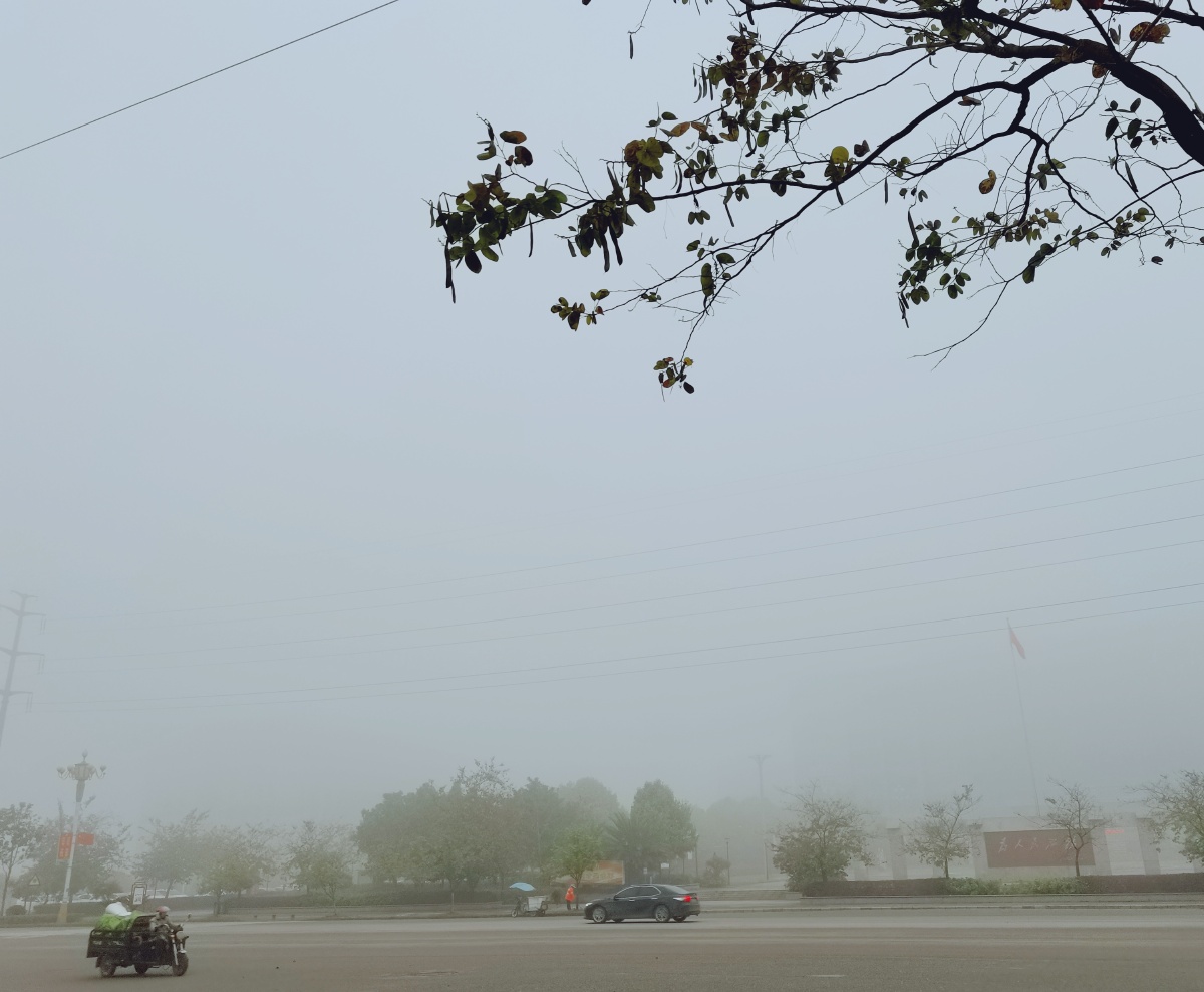 岚雾今朝重江山此地深