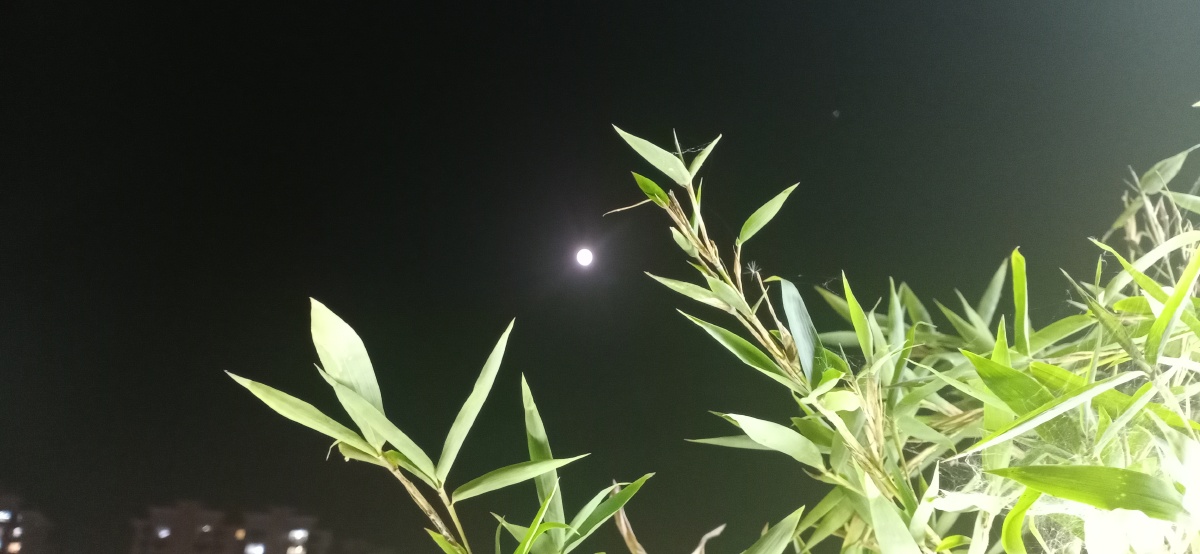 看天上的月吹人间的风 - 听风向晚 - 图虫