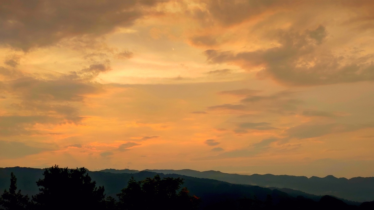 能和她一起吹晚风一定很幸福吧