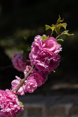 19390403-1211-4114-84A5-FFC93B508FA1/L0/001