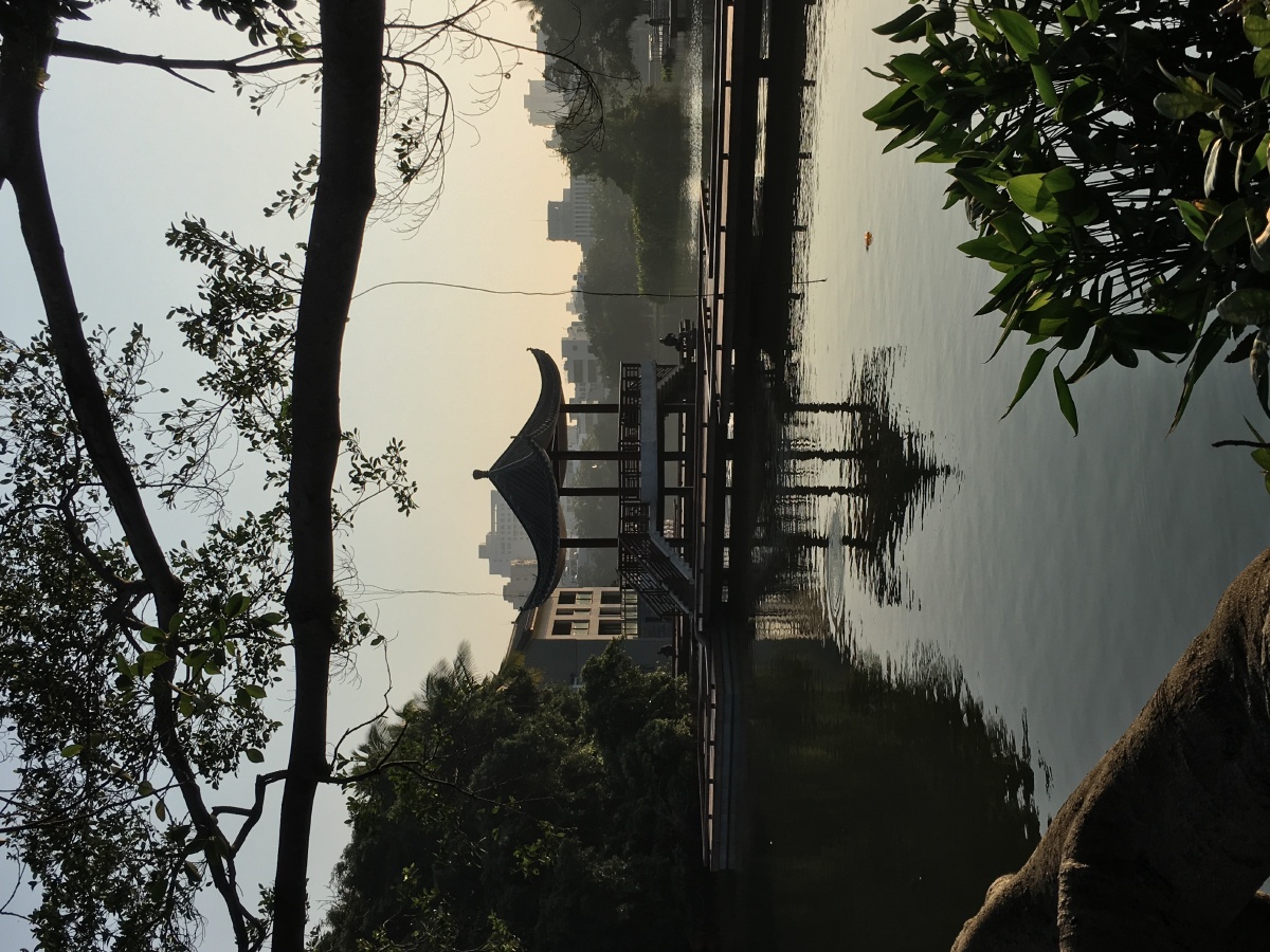 拍摄于海口市人民公园湖心岛