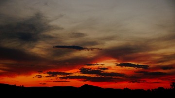DSC05964_副本