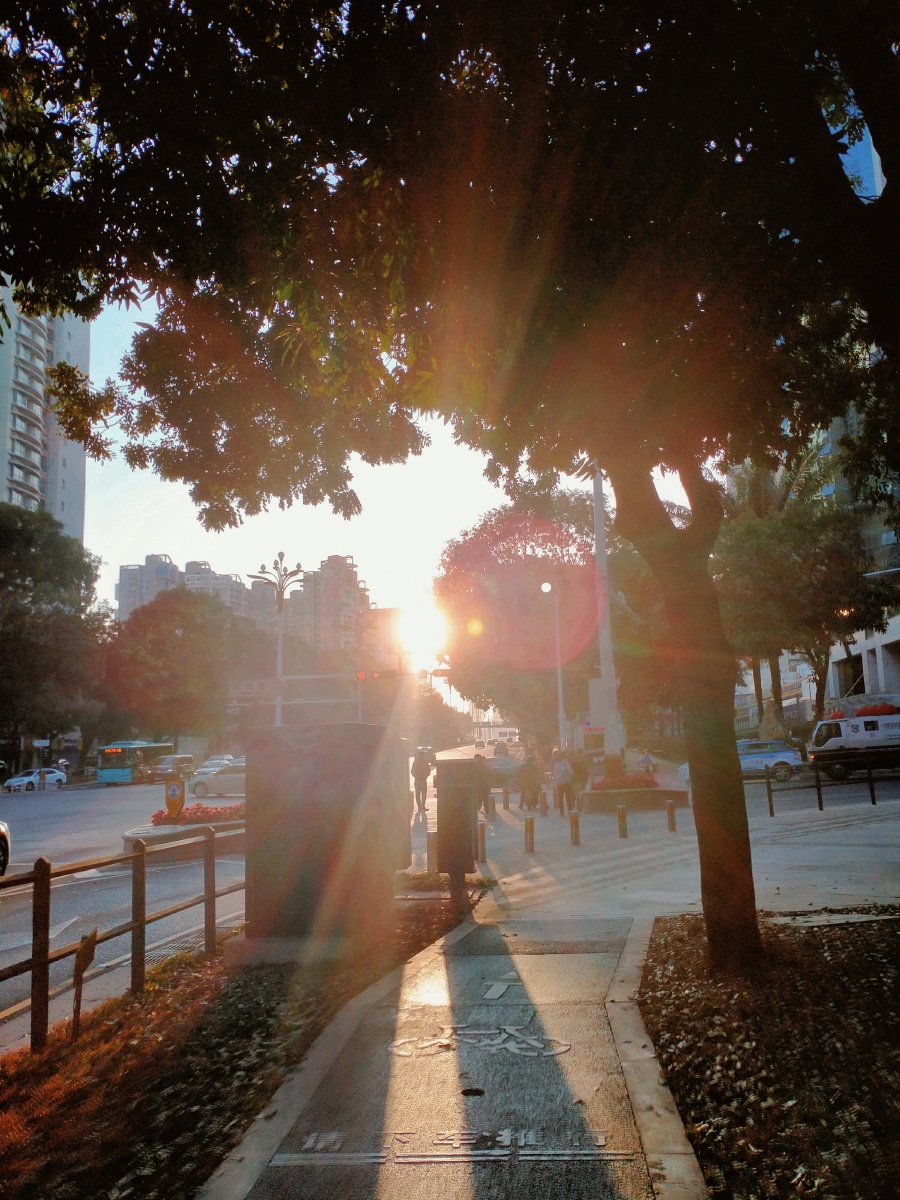 阳光直射的影子是如此的绚烂