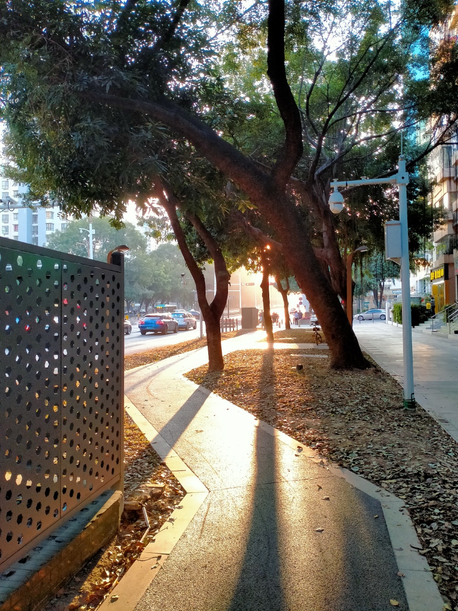 阳光直射的影子是如此的绚烂