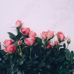 8B57063F-600A-4738-B8AC-34DBAD6C4E6D/L0/001