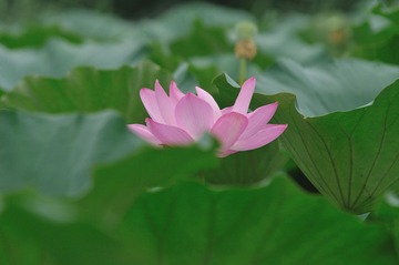 练习