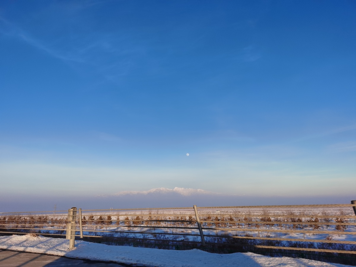 冬日里的一抹阳光总能在不经意间温暖你的内心