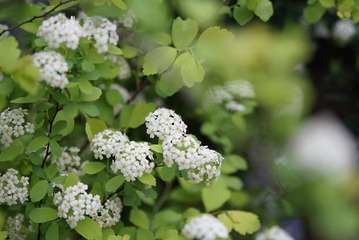 F73DC35B-37D5-469B-A1DC-96C778CCD445/L0/001