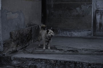 547877