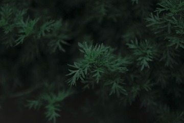 547722