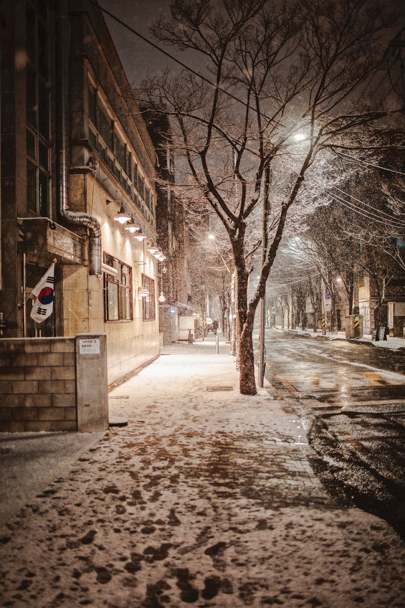 不记得是第几场大雪了雪景真的好梦幻街道也很温暖