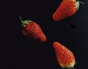 48764725-A3FA-4369-B796-CC55BEA0DA08/L0/001