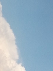 416233