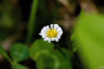47FDC13C-BD6B-4CF4-8B59-1907942C1D66/L0/001
