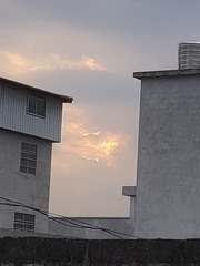 1000048699