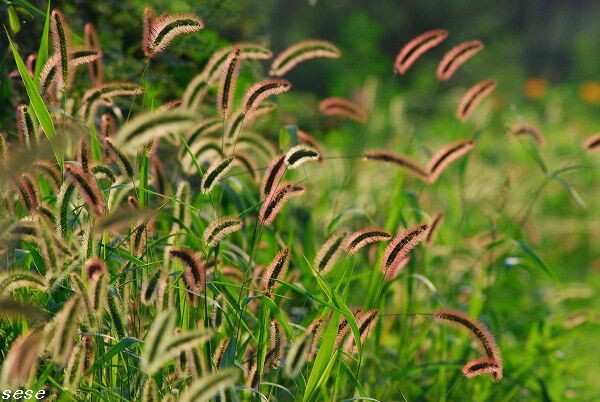 DSC_0679<br />
