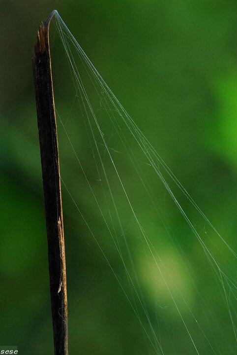 DSC_0685<br />
