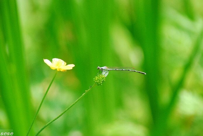 DSC_1093<br />

