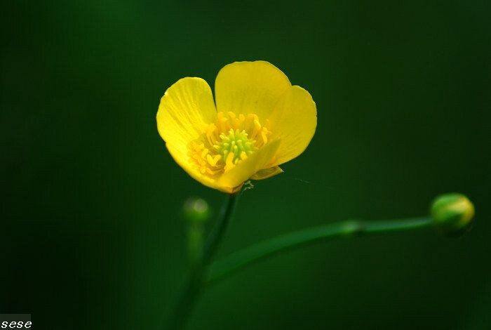 DSC_1073<br />
