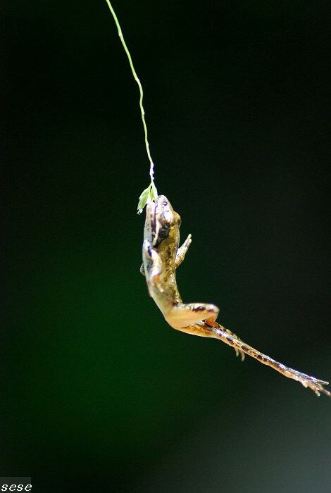 DSC_1408<br />
