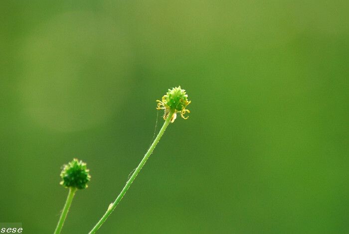 DSC_1208<br />
