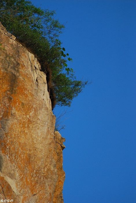 DSC_1328<br />
