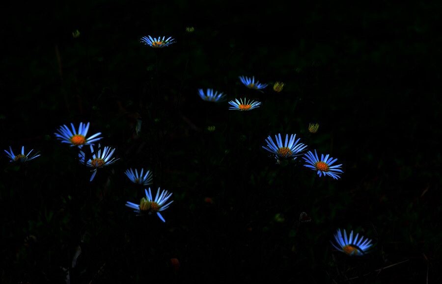 DSC_0633<br />
