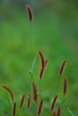 DSC_1536