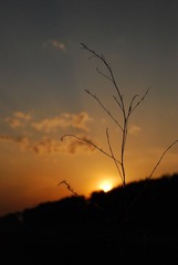 DSC_0609