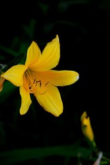 DSC_0635