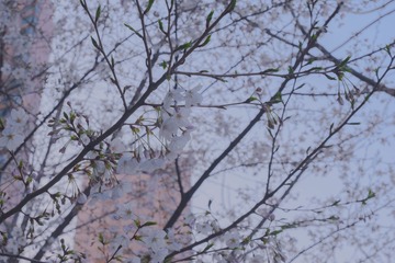 00C22EA3-F20B-4D17-8F36-8BD7019D797E/L0/001