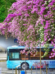 405F3694-63AA-4195-98A6-2A8C25279109/L0/001