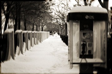 IMG_3880(small)