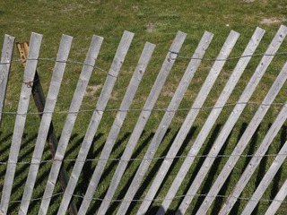 DC0ED296-4D0E-4760-B654-621F38F045CD/L0/001