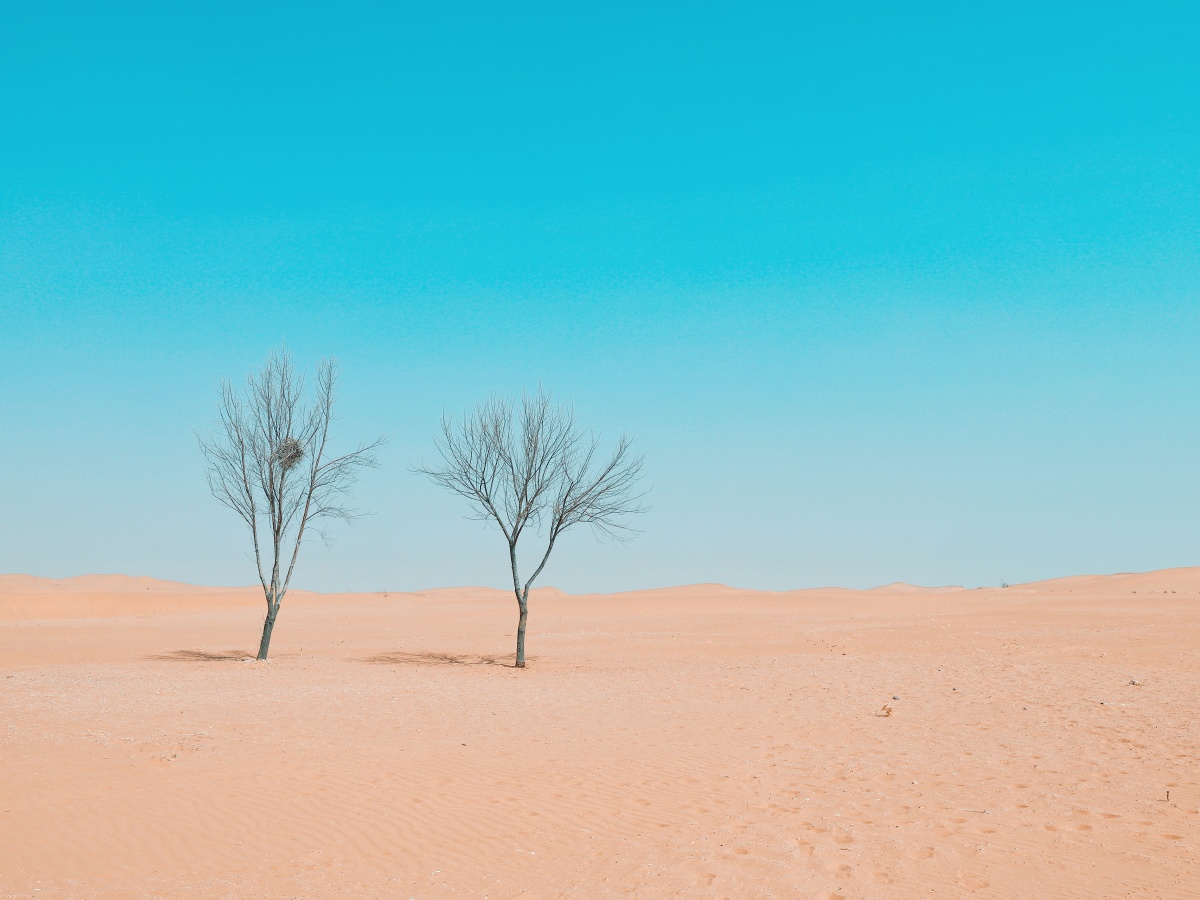 爱赚钱的小可爱