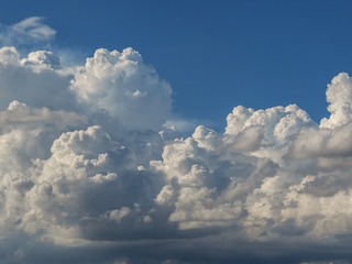 1000103865