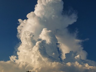 1000105560