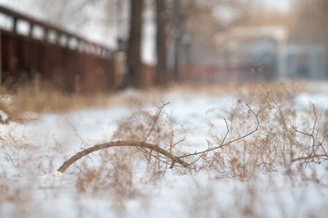 36541CED-0A10-4F6C-932F-BCAC1AB6FAB4/L0/001