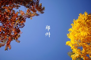 8C11E2AD-662A-46FD-AFF4-79DAA7BEF941/L0/001