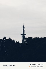 1000005794