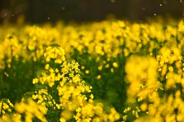 914040C3-86D1-4307-B3A9-2F1BA768A106/L0/001