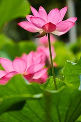 CB280741-866C-4181-A2AC-38F28F8EF74C/L0/001
