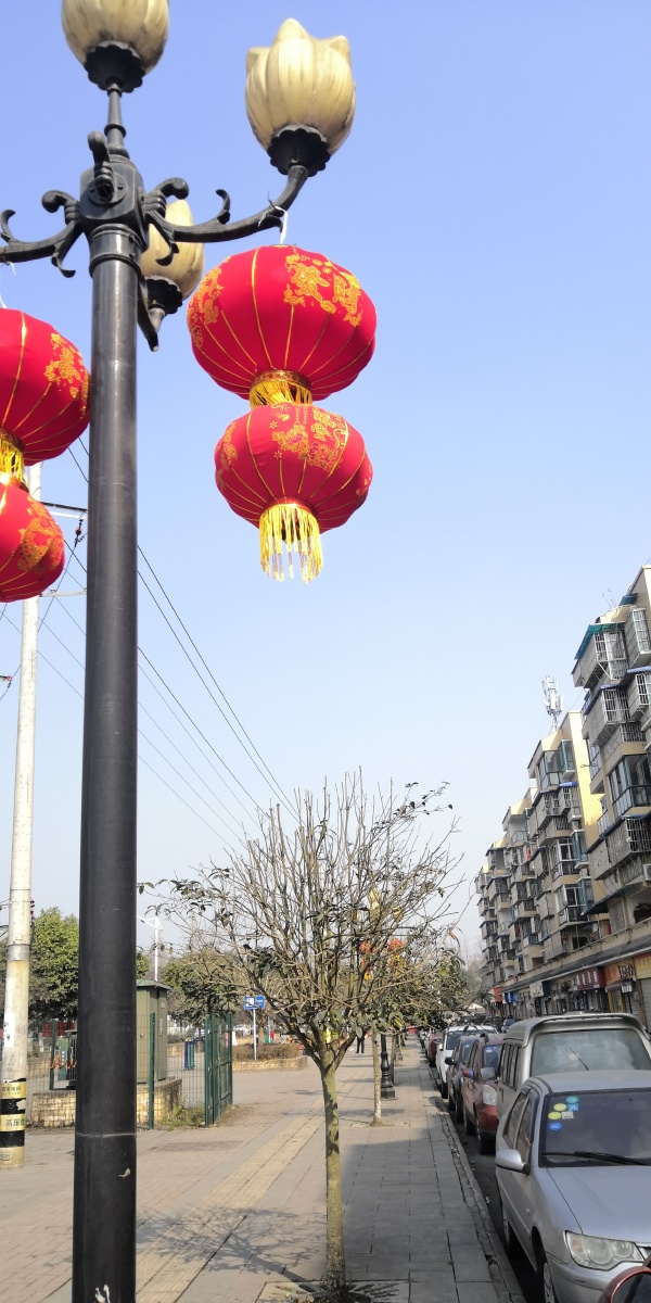 春节临近,冬日暖阳下,街边高挂的红灯笼
