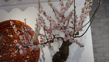 41FEB0C9-81EB-47A4-88FF-A216761B8272/L0/001