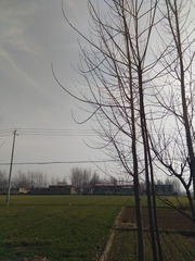 1126843