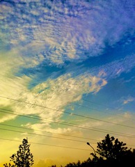 674C6E6D-5C8D-4B36-994F-0DDD2072A87B/L0/001