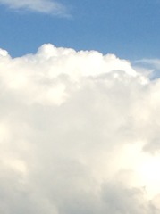 95178EC9-5EC9-49E8-8E0B-97BD248A4180/L0/001