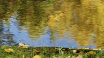 CC8EAA94-55C6-4601-A4AE-65548D0BB143/L0/001